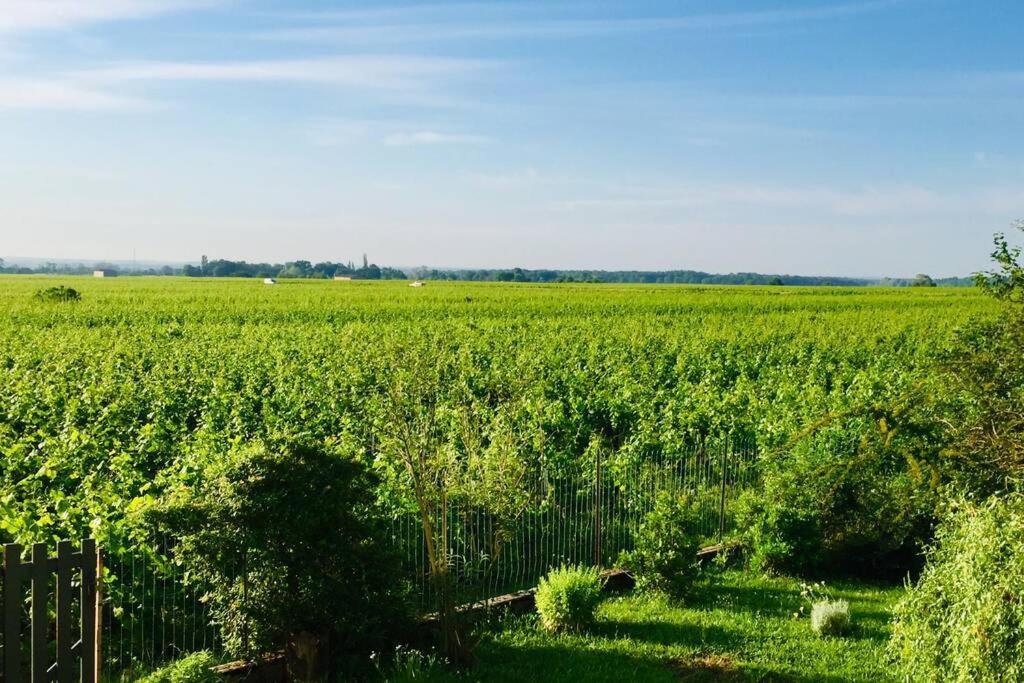 Appartement Avec Vue Sur Les Vignes A Gevrey Buitenkant foto